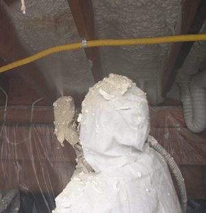 Fayetteville AL crawl space insulation